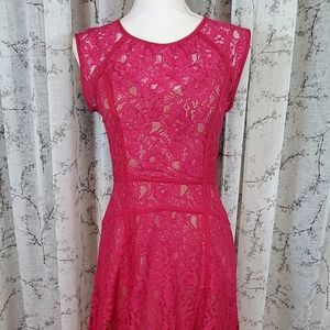 BCBGMaxAzria Magenta Lace Slip Dress
